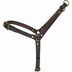 Filson Leashes, Harnesses & Collars Dog Harness